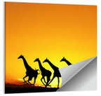 Savanna Giraffes at Sunset Wall Art
