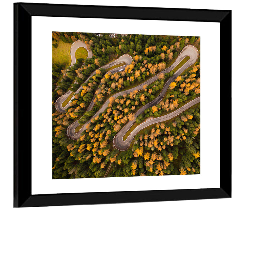 Aerial Curvy Forest Road Wall Art