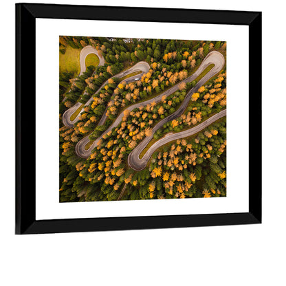 Aerial Curvy Forest Road Wall Art