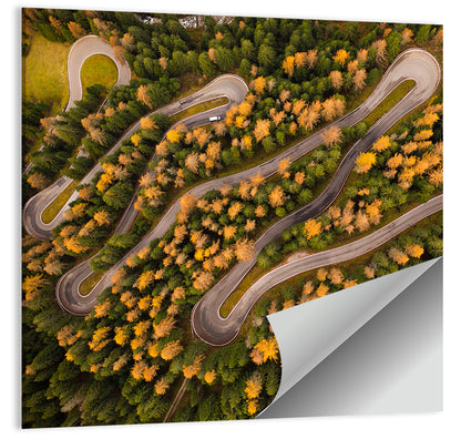 Aerial Curvy Forest Road Wall Art