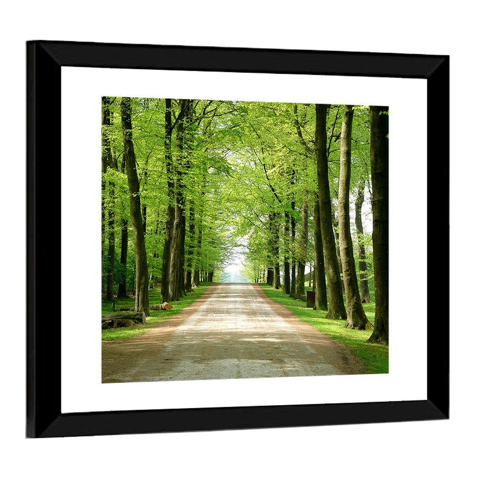 Sunlit Tree-lined Path Wall Art