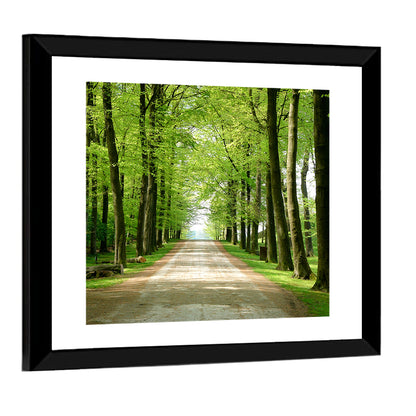 Sunlit Tree-lined Path Wall Art