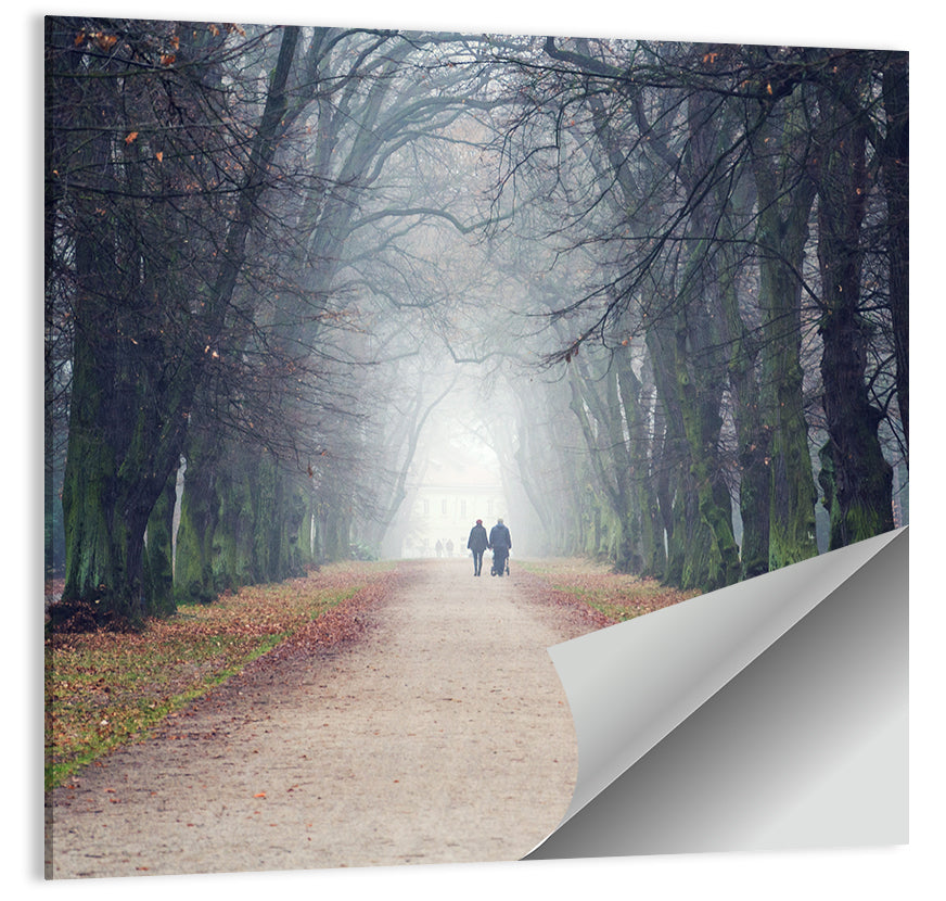 Foggy Tree Lined Walkway in Autumn Wall Art