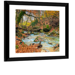 Autumn Forest Stream Wall Art