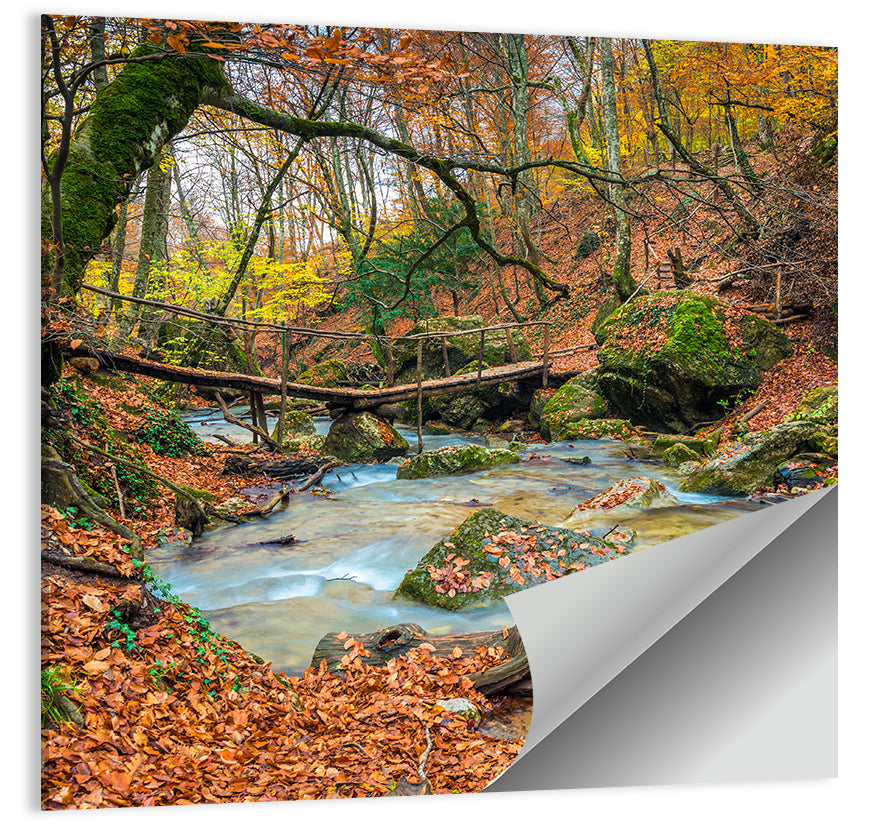 Mossy Footbridge in Autumn Forest Wall Art