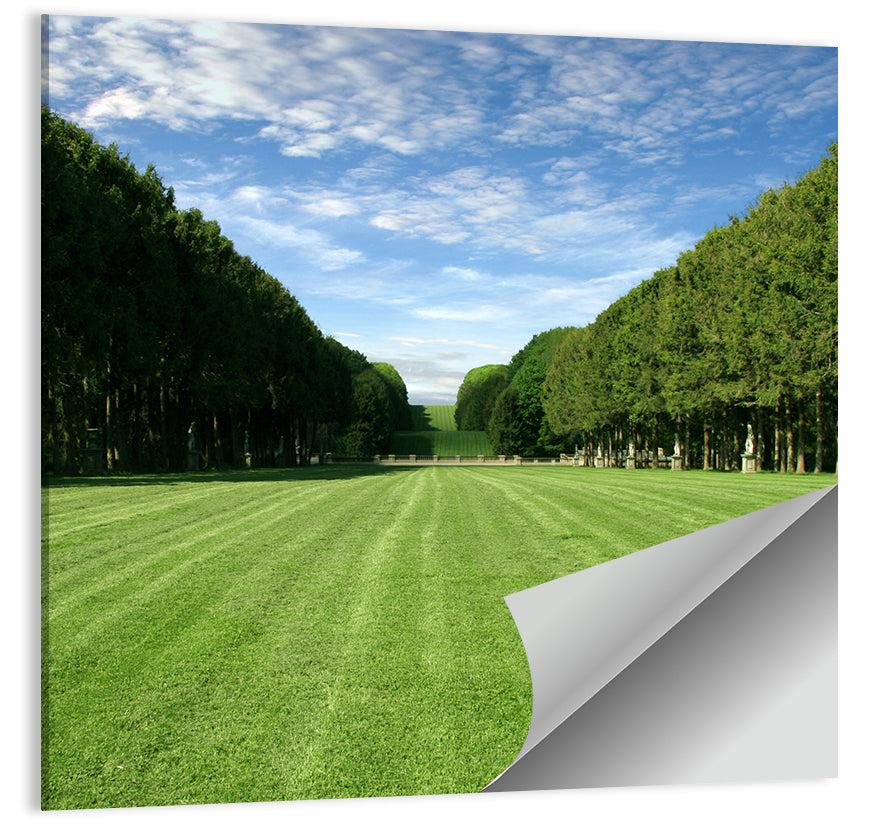 Tree-lined Manicured Lawn Wall Art