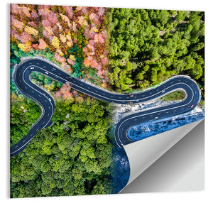 Four Seasons Curved Road Wall Art