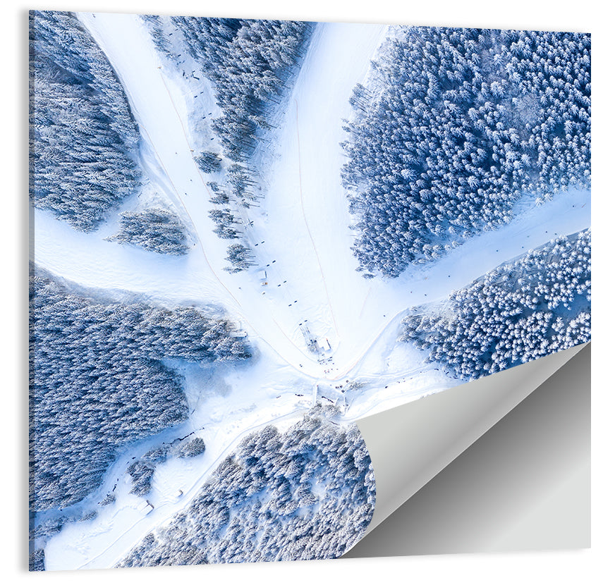 Birds-eye Ski Resort Landscape Wall Art