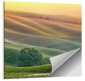 Tuscany Rolling Hills Wall Art