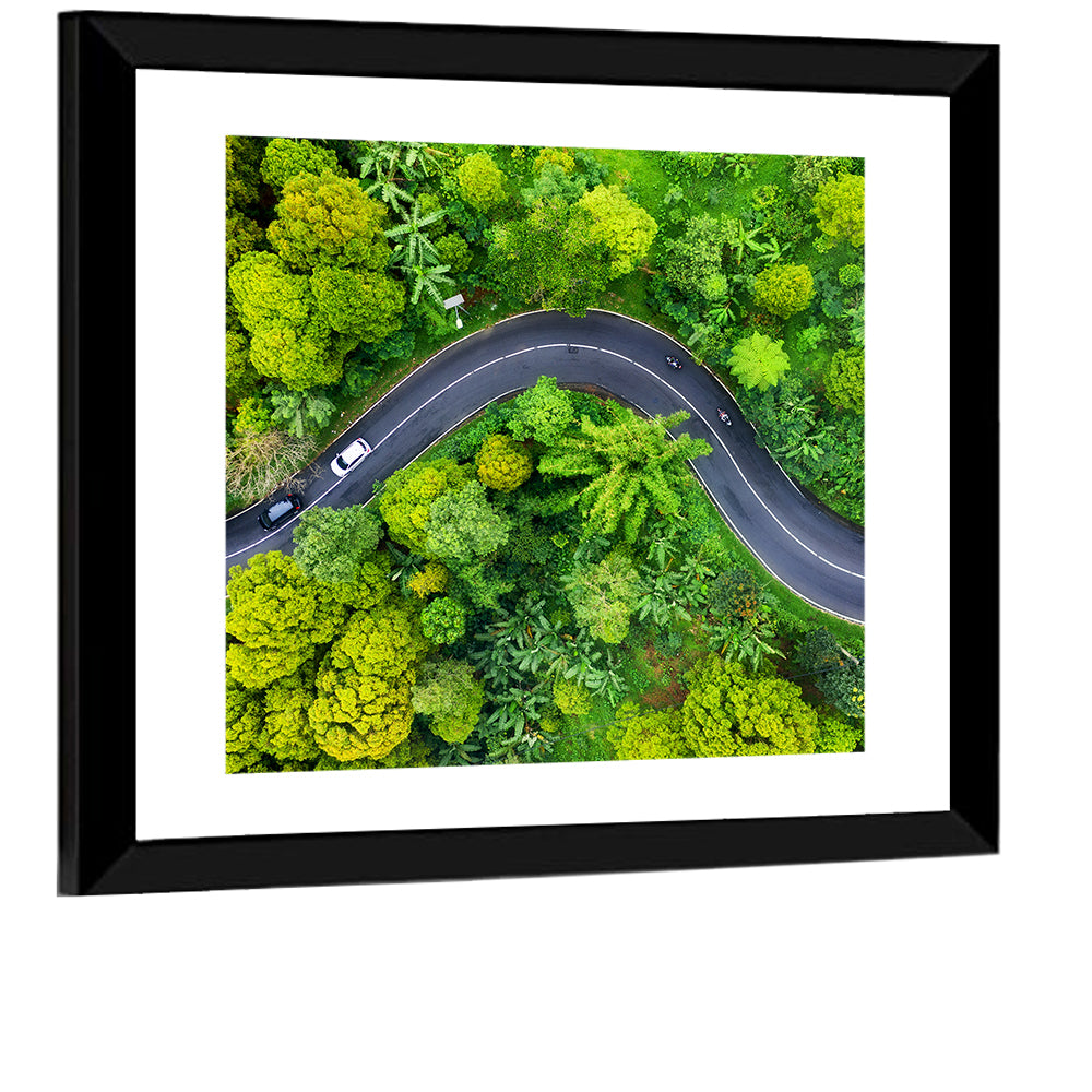 Winding Tropical Forest Road Wall Art