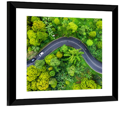 Winding Tropical Forest Road Wall Art