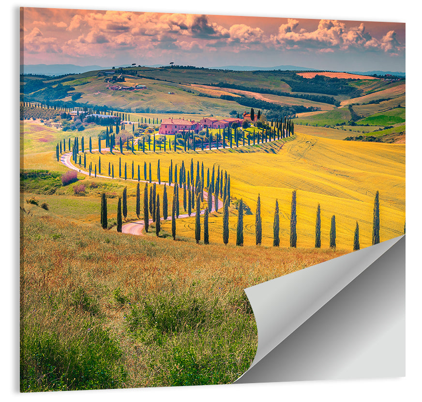 Val D'orcia Cypress Road Wall Art