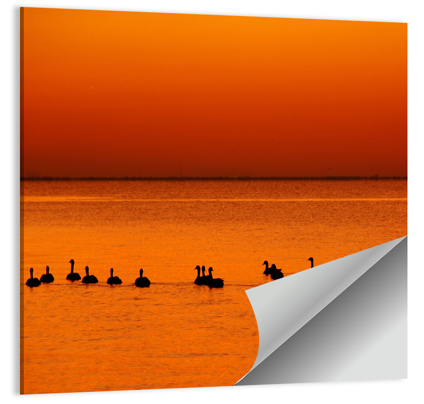 Geese Silhouettes at Orange Sunset Wall Art
