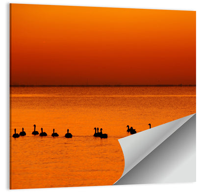 Geese Silhouettes at Orange Sunset Wall Art