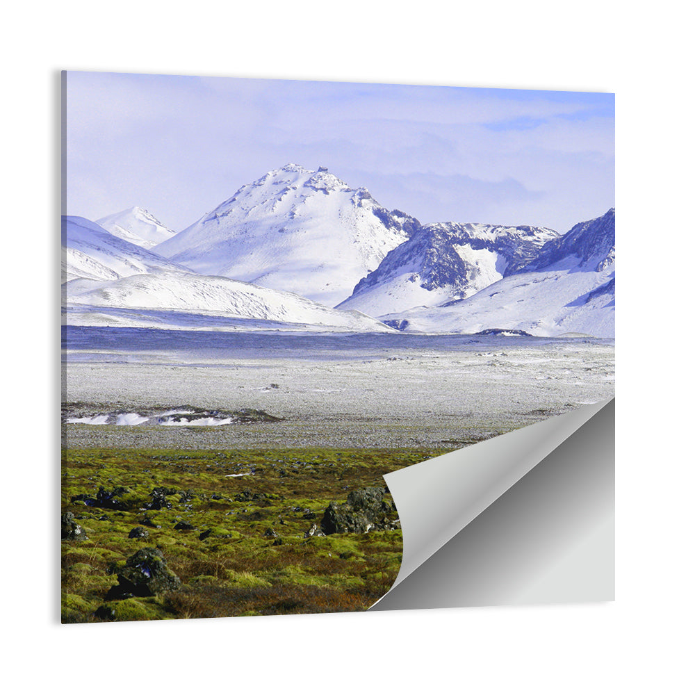 Icelandic Snow and Moss Landscape Wall Art