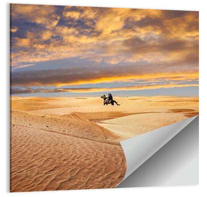 Sahara Camel Rider at Sunset Wall Art