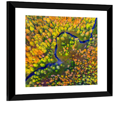 Autumn Forest River Wall Art