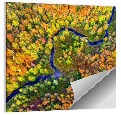 Winding Autumn River Wall Art