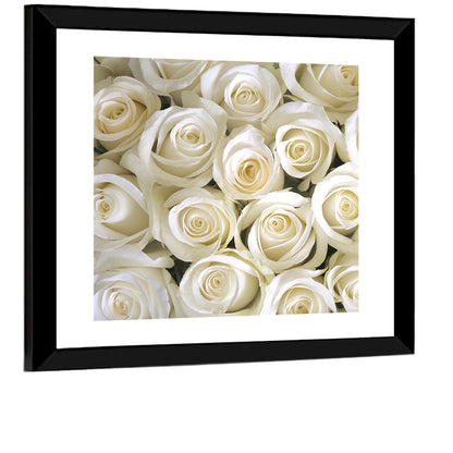 Silky Roses Wall Art