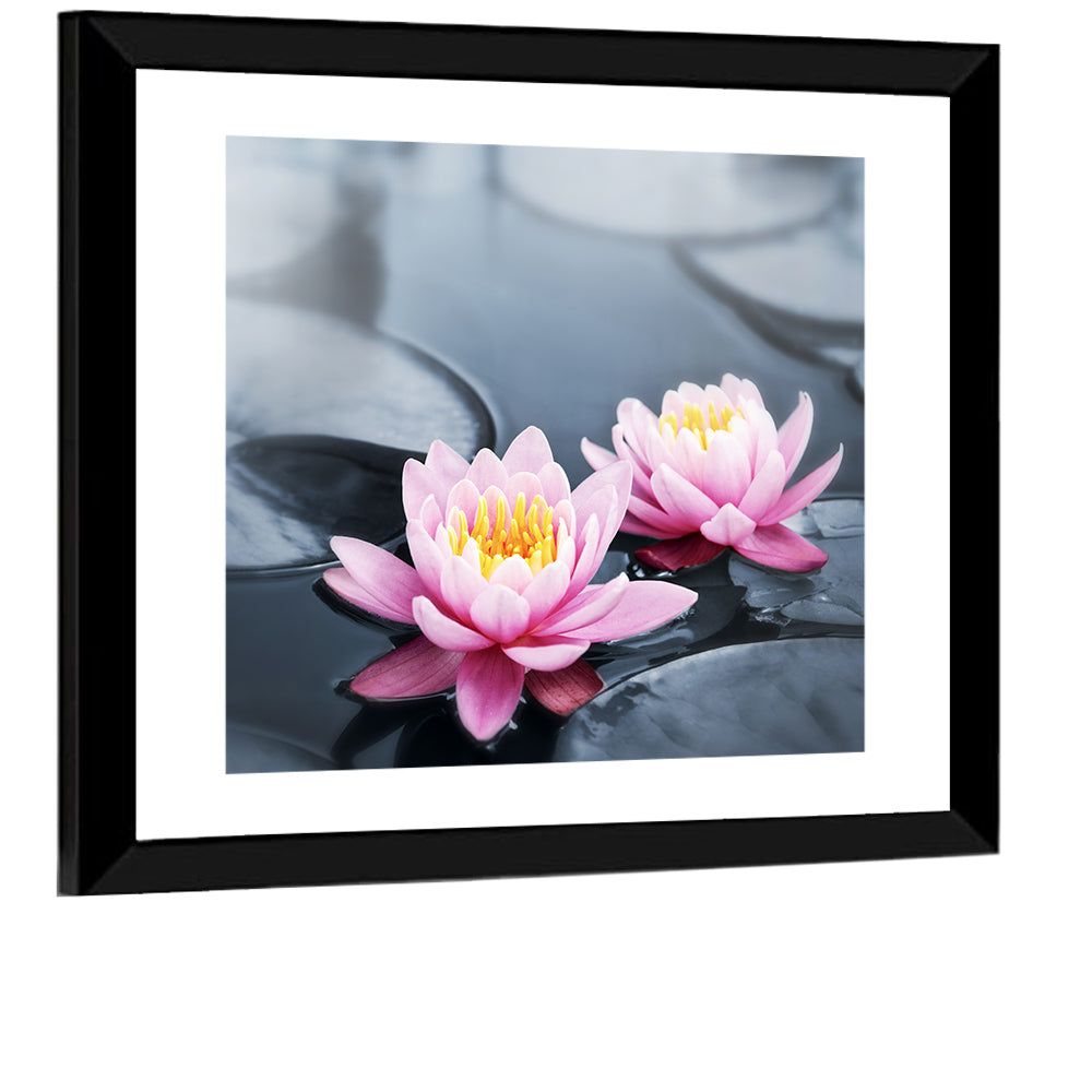 Pink Water Lilies Wall Art
