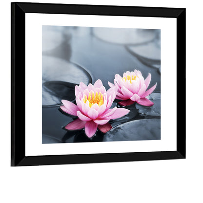 Pink Water Lilies Wall Art