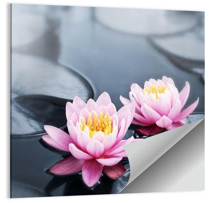 Pink Water Lilies Wall Art