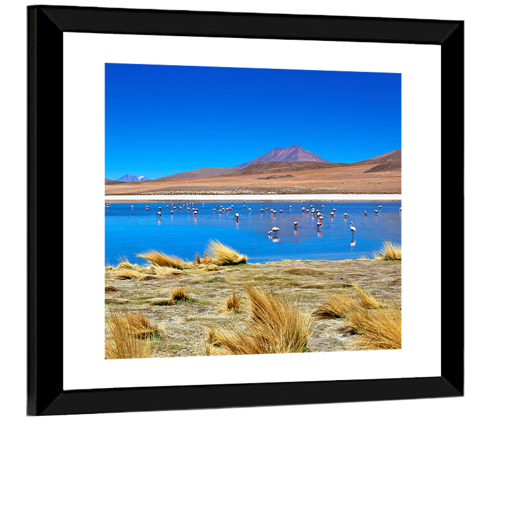 Laguna Flamingo Lake Wall Art