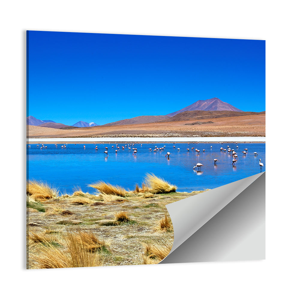 Laguna Flamingo Lake Wall Art