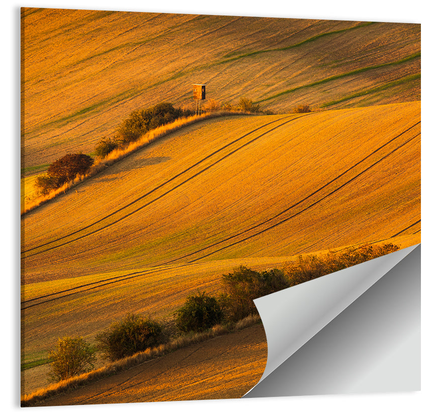 Golden Moravian Farm Tracks Wall Art