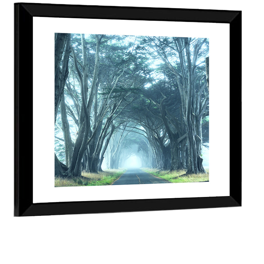 Foggy Cypress Tree Tunnel Wall Art