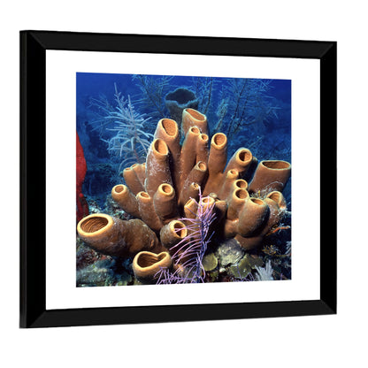 Belize Reef Sponge Scene Wall Art