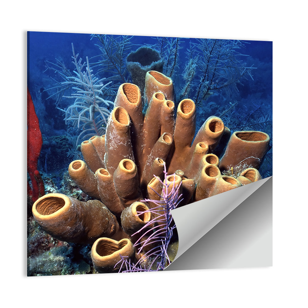 Belize Reef Sponge Scene Wall Art