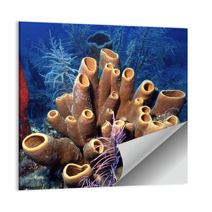 Belize Reef Sponges Wall Art