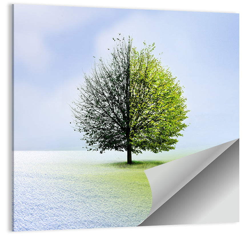 Winter to Spring Tree Wall Art, poster print, square