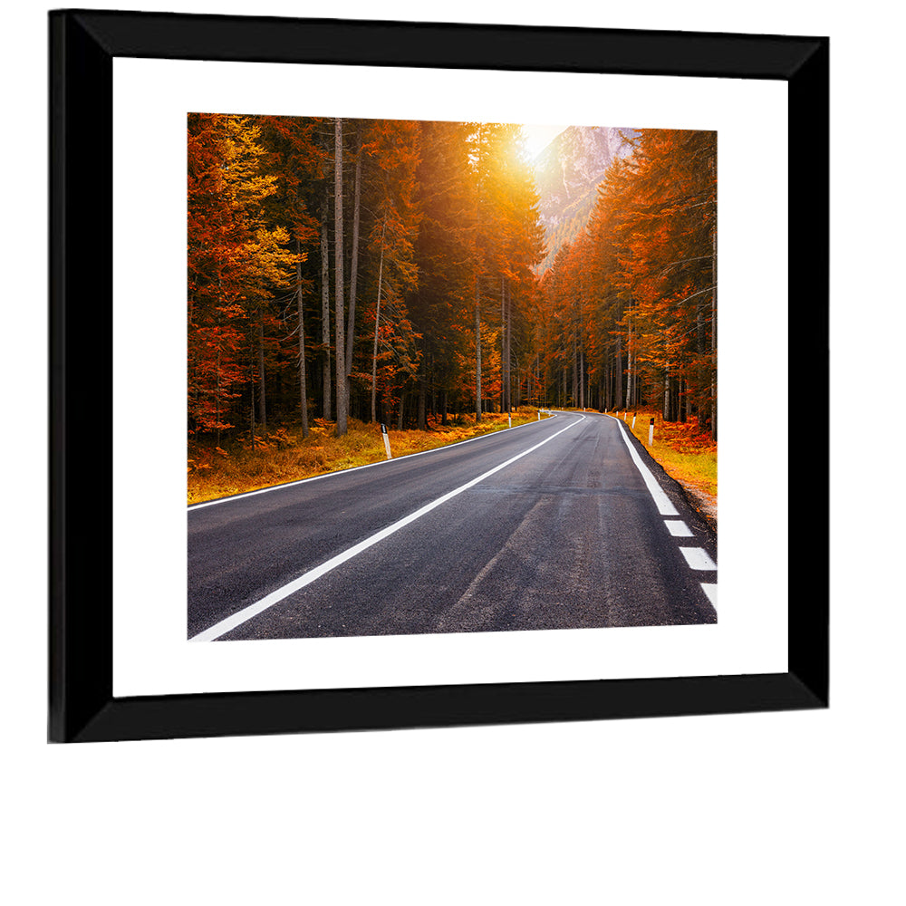 Golden Hour Forest Road Wall Art