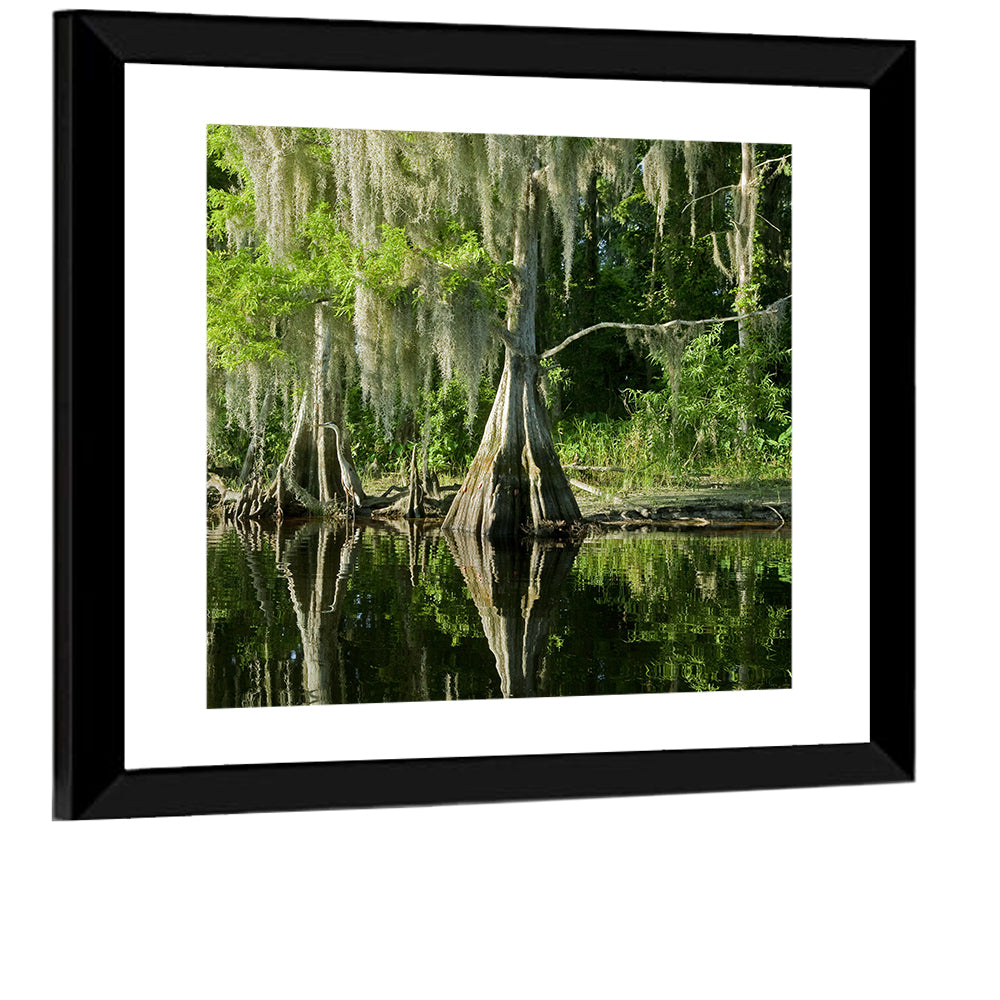 Bald Cypress and Great Blue Heron Wall Art