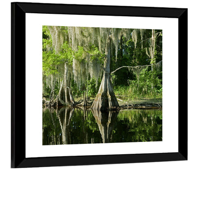 Bald Cypress and Great Blue Heron Wall Art