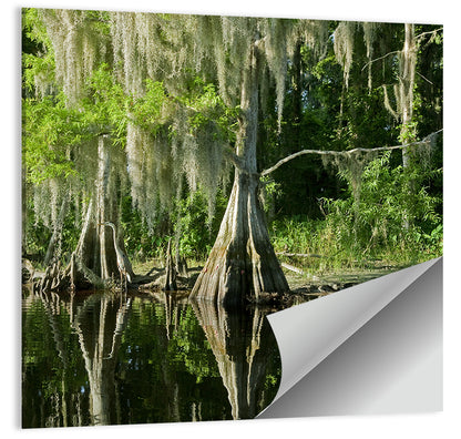 Bald Cypress and Great Blue Heron Wall Art