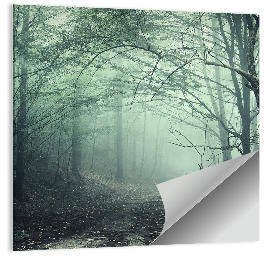 Misty Forest Path Wall Art