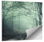 Misty Forest Path Wall Art