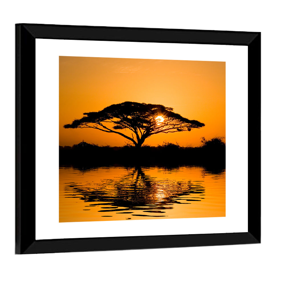 Acacia Tree at Sunrise Wall Art, framed print, square