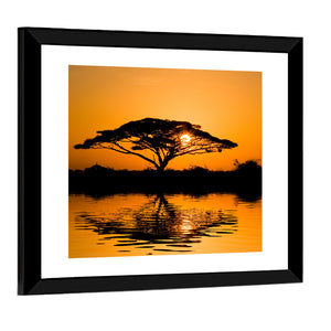 Acacia Tree at Sunrise Wall Art