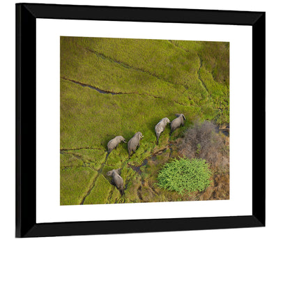 Aerial Herd of Elephants Wall Art