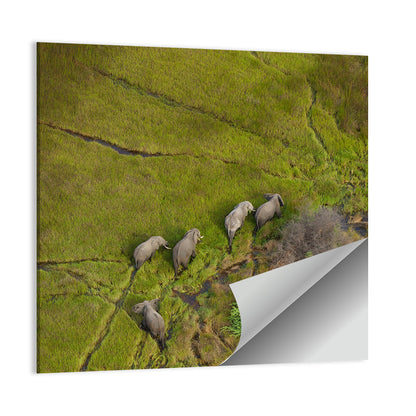 Aerial Herd of Elephants Wall Art
