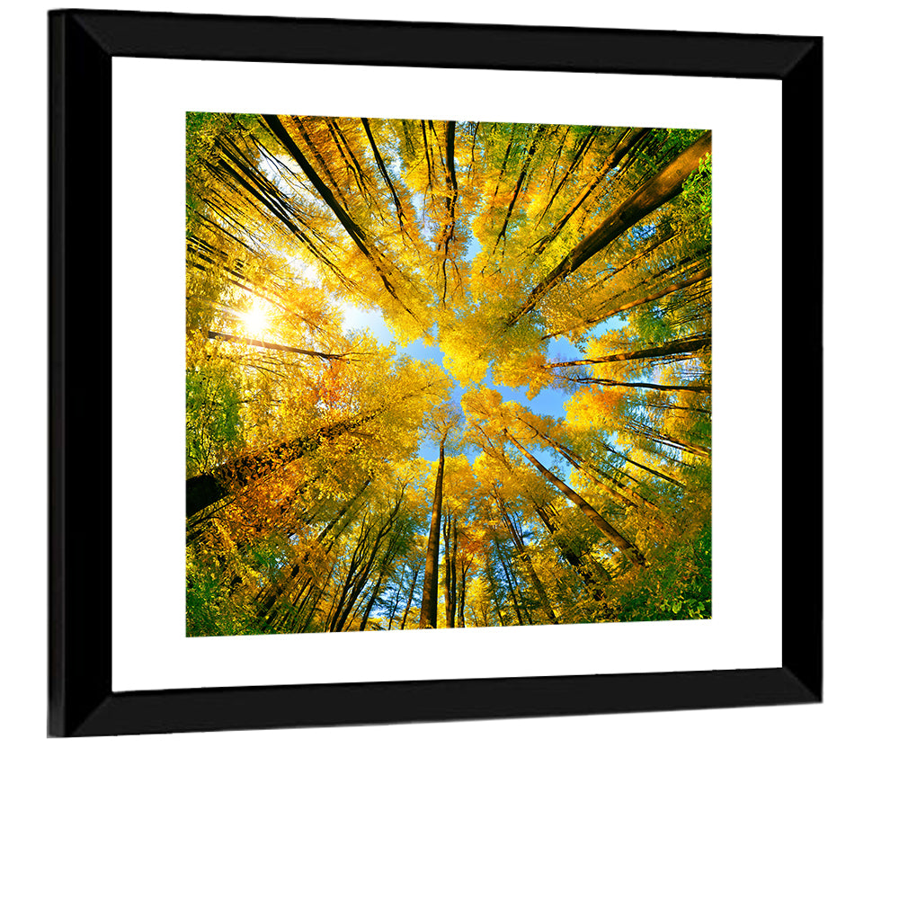 Golden Autumn Canopy Wall Art