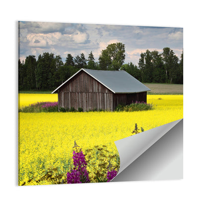 Finnish Barn in Yellow Field Wall Art