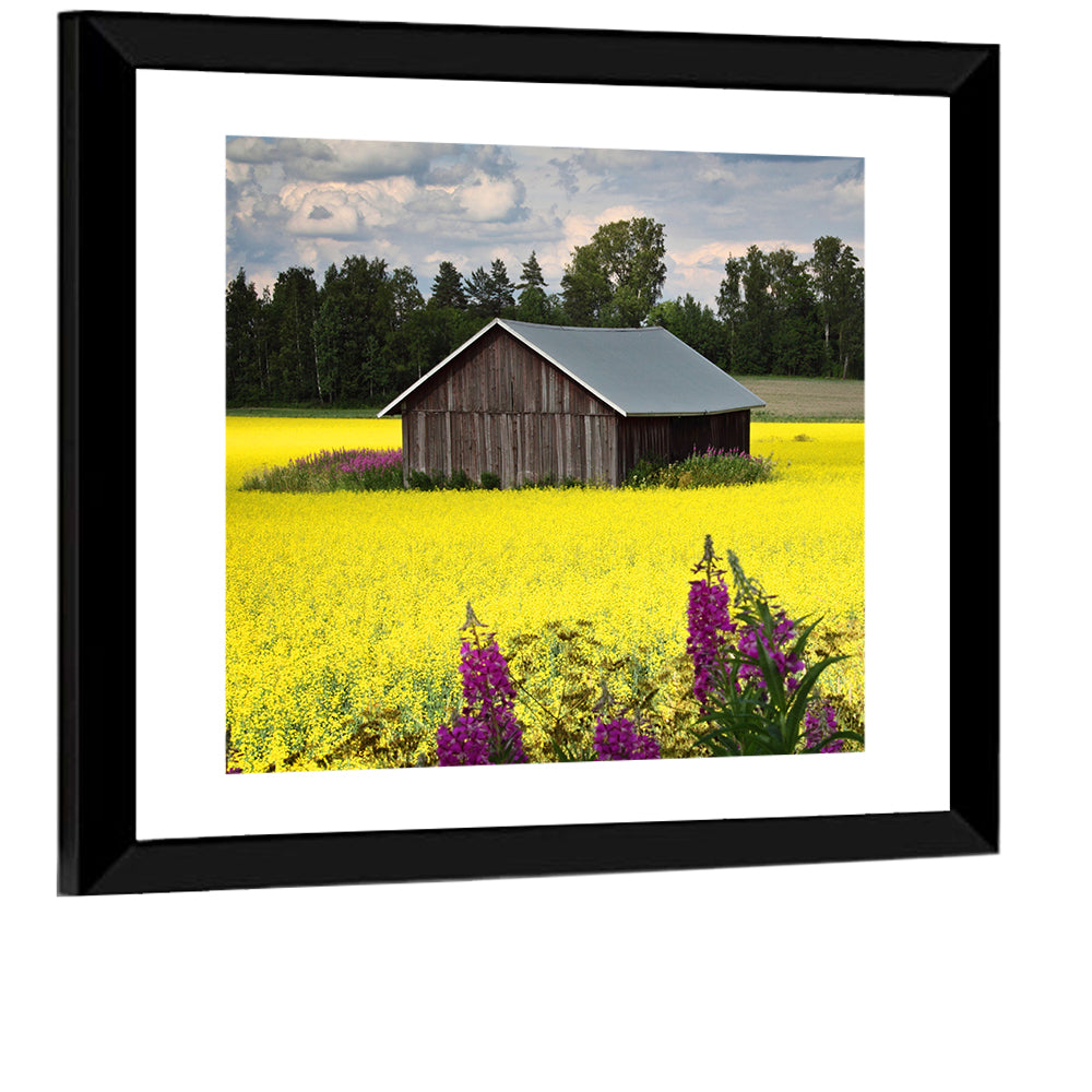 Finnish Barn in Yellow Field Wall Art