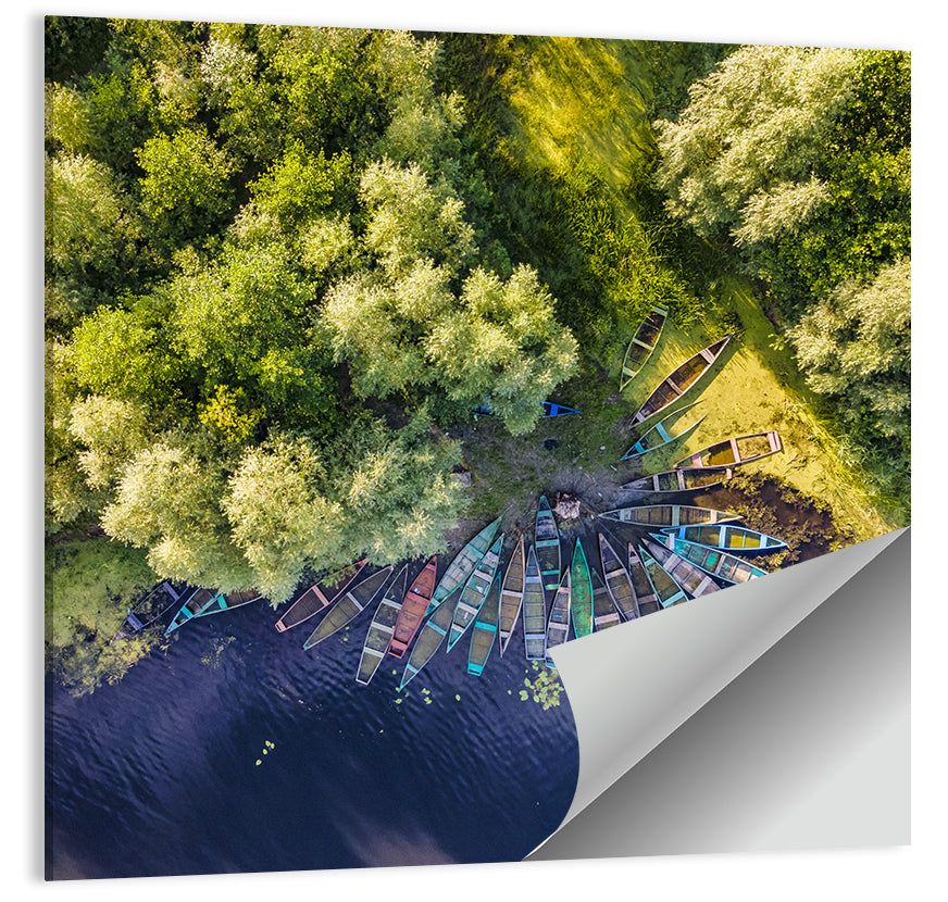 Cluster of Boats Along Forest Shore Wall Art