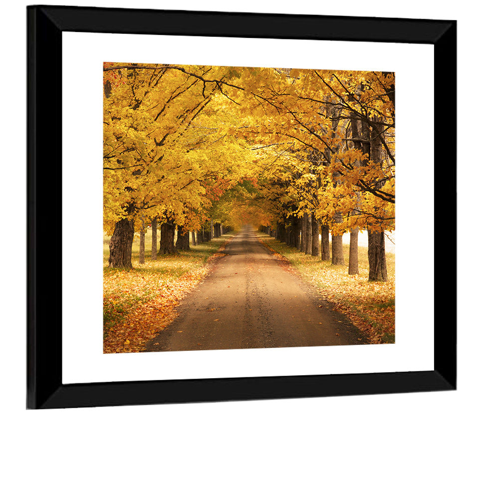 Autumn Road Wall Art