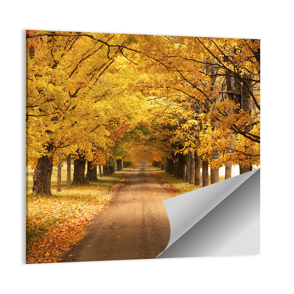 Golden Autumn Road Wall Art